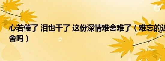 心若倦了 泪也干了 这份深情难舍难了（难忘的近义词是难舍吗）