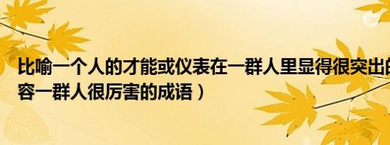 比喻一个人的才能或仪表在一群人里显得很突出的成语（形容一群人很厉害的成语）