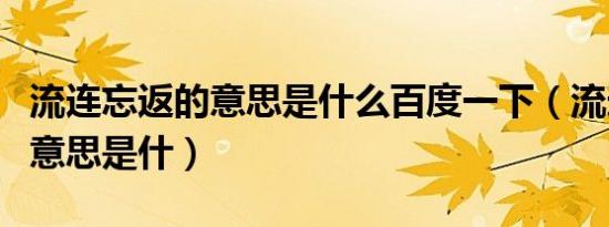 流连忘返的意思是什么百度一下（流连望返的意思是什）