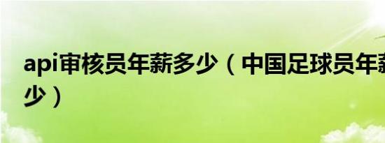 api审核员年薪多少（中国足球员年薪最高多少）