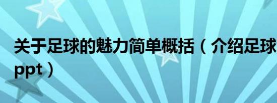 关于足球的魅力简单概括（介绍足球的魅力的ppt）