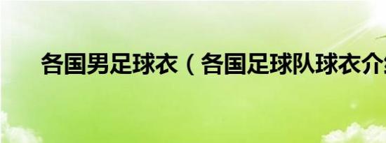 各国男足球衣（各国足球队球衣介绍）