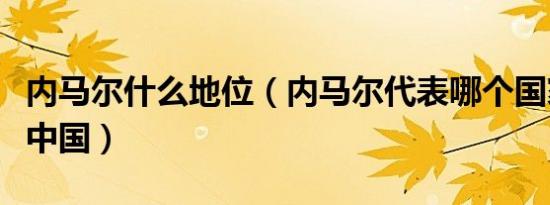 内马尔什么地位（内马尔代表哪个国家出战过中国）