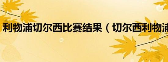 利物浦切尔西比赛结果（切尔西利物浦裁判）