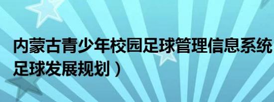 内蒙古青少年校园足球管理信息系统（青少年足球发展规划）