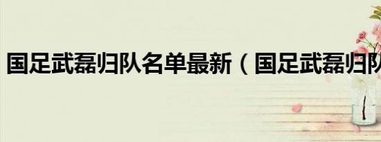 国足武磊归队名单最新（国足武磊归队名单）