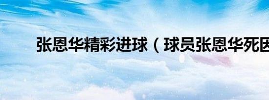 张恩华精彩进球（球员张恩华死因）