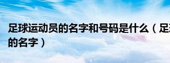 足球运动员的名字和号码是什么（足球运动员的名字）