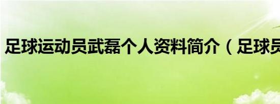 足球运动员武磊个人资料简介（足球员武磊）