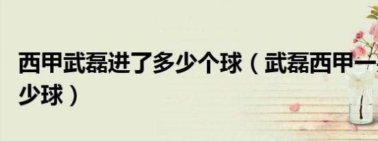 西甲武磊进了多少个球（武磊西甲一共进了多少球）