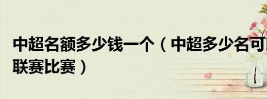 中超名额多少钱一个（中超多少名可以打亚冠联赛比赛）