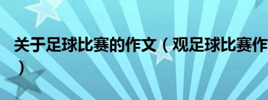 关于足球比赛的作文（观足球比赛作文600字）