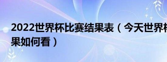 2022世界杯比赛结果表（今天世界杯比赛结果如何看）