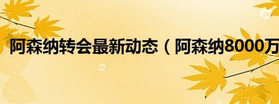 阿森纳转会最新动态（阿森纳8000万新援）