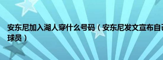 安东尼加入湖人穿什么号码（安东尼发文宣布自己加入湖人球员）