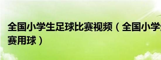 全国小学生足球比赛视频（全国小学生足球比赛用球）