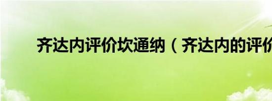 齐达内评价坎通纳（齐达内的评价）