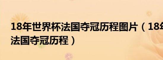 18年世界杯法国夺冠历程图片（18年世界杯法国夺冠历程）