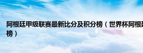 阿根廷甲级联赛最新比分及积分榜（世界杯阿根廷小组积分榜）