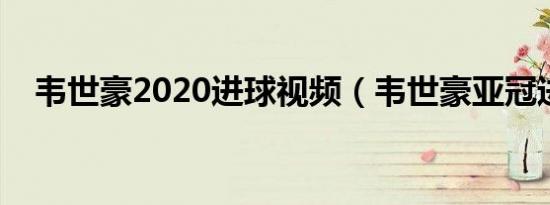 韦世豪2020进球视频（韦世豪亚冠进球）