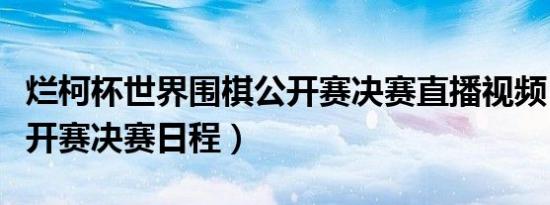 烂柯杯世界围棋公开赛决赛直播视频（法国公开赛决赛日程）