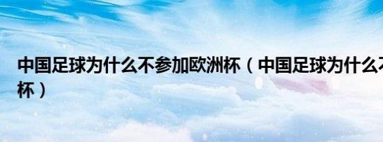 中国足球为什么不参加欧洲杯（中国足球为什么不参加世界杯）