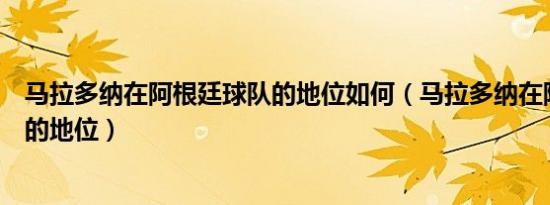 马拉多纳在阿根廷球队的地位如何（马拉多纳在阿根廷球队的地位）