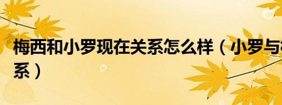 梅西和小罗现在关系怎么样（小罗与梅西的关系）