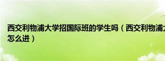 西交利物浦大学招国际班的学生吗（西交利物浦大学国际班怎么进）