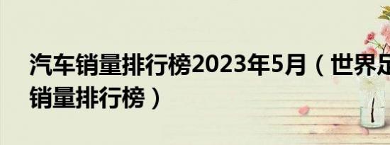 销量排行榜2023年5月（世界足球球衣销量排行榜）