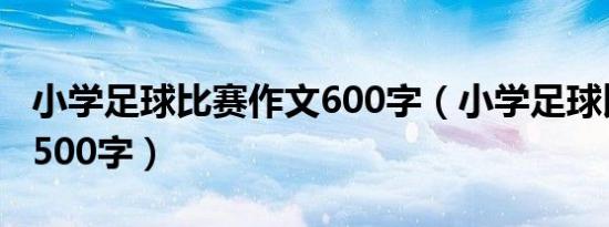 小学足球比赛作文600字（小学足球比赛作文500字）