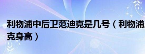 利物浦中后卫范迪克是几号（利物浦后卫范迪克身高）