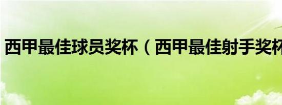 西甲最佳球员奖杯（西甲最佳射手奖杯排名）