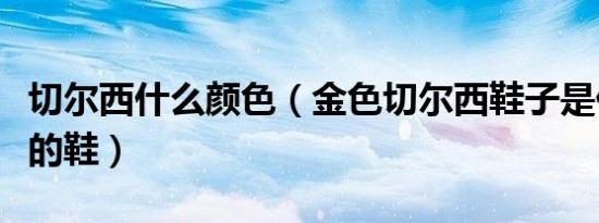 切尔西什么颜色（金色切尔西鞋子是什么品牌的鞋）