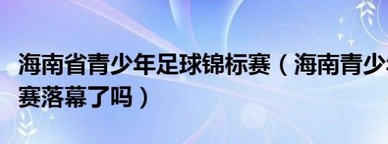 海南省青少年足球锦标赛（海南青少年足球联赛落幕了吗）