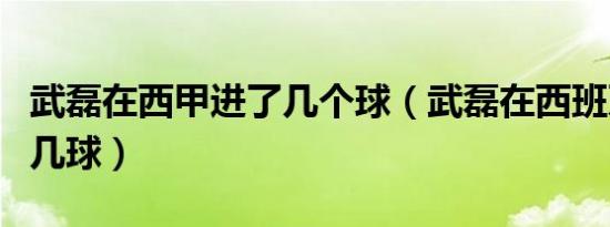 武磊在西甲进了几个球（武磊在西班牙人进了几球）