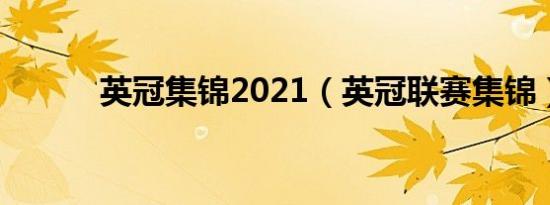 英冠集锦2021（英冠联赛集锦）