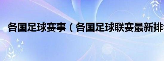 各国足球赛事（各国足球联赛最新排名表）