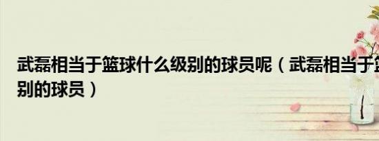 武磊相当于篮球什么级别的球员呢（武磊相当于篮球什么级别的球员）