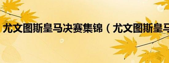 尤文图斯皇马决赛集锦（尤文图斯皇马决赛）