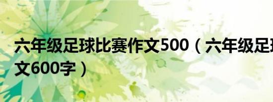 六年级足球比赛作文500（六年级足球比赛作文600字）