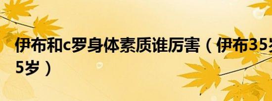 伊布和c罗身体素质谁厉害（伊布35岁和c罗35岁）