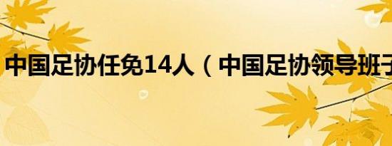 中国足协任免14人（中国足协领导班子调整）