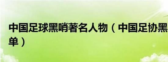 中国足球黑哨著名人物（中国足协黑哨禁赛名单）