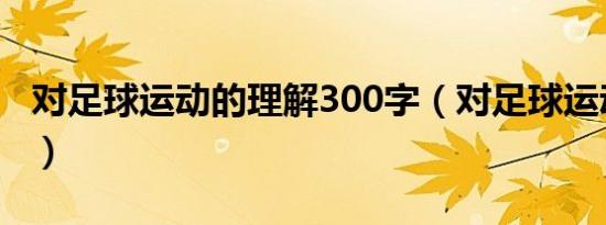 对足球运动的理解300字（对足球运动的理解）