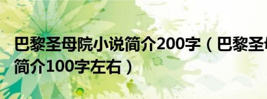 巴黎圣母院小说简介200字（巴黎圣母院小说简介100字左右）