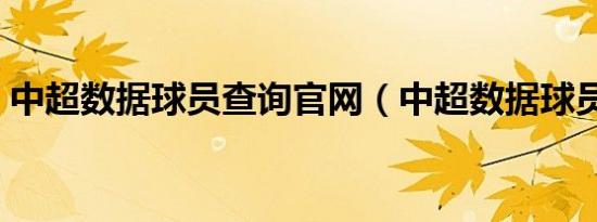 中超数据球员查询官网（中超数据球员查询）