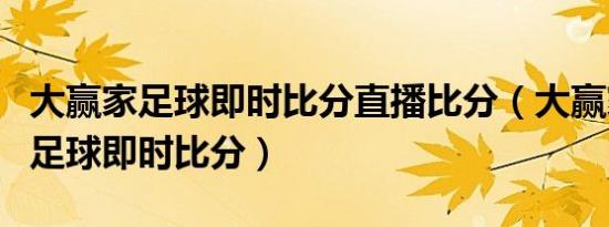 大赢家足球即时比分直播比分（大赢家球探网足球即时比分）