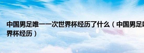 中国男足唯一一次世界杯经历了什么（中国男足唯一一次世界杯经历）