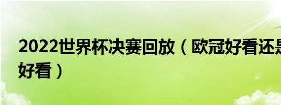 2022世界杯决赛回放（欧冠好看还是世界杯好看）